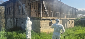 Bartın'da kahverengi kokarca kış uykusunda yok edilecek 95 köydeki yaklaşık 16 bin metruk bina ilaçlanarak, kahverengi kokarca kış uykusunda imha ediliyor Kalan kahverengi kokarcaların popülasyonu ''samuray arı'' ve ''cezbet-yok et'' yöntemleriyle makul düzeye çekilecek