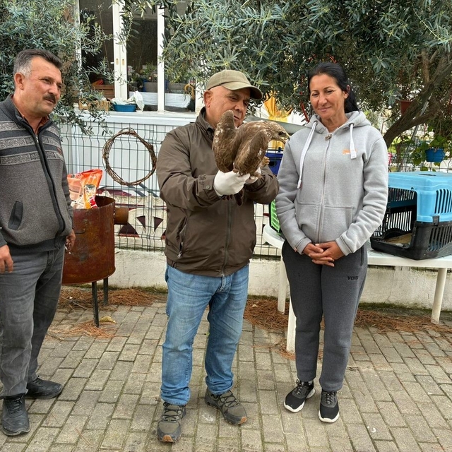 Kuşadası'nda yaralı şahin tedavisinin ardından doğaya bırakıldı