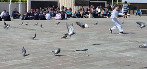 Dikkat dağıtan ortama rağmen dikkat çekmeyi başardılar