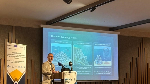 Karadeniz resiflerinde balık çeşitliliğini izleyecekler