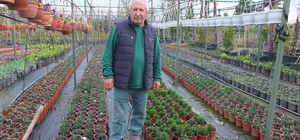 Burhaniye’de emekli bankacı 500 çeşit bitki yetiştirdi