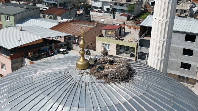 6 yıldır aynı yuvaya dönüyorlar