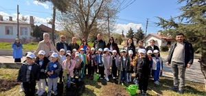 Vezirköprü’de minik eller fidan dikti