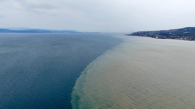 İzmit Körfezi iki renk oldu: Derenin taşıdığı çamur denizin rengini değiştirdi