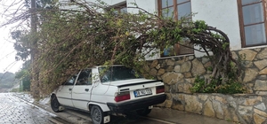 Bodrum’da tam fırtına günlük yaşamı olumsuz etkiledi