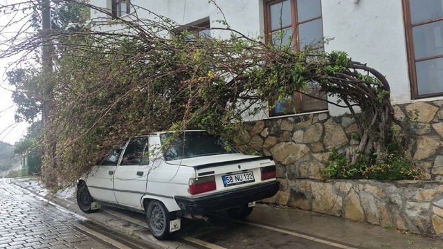 Bodrum'da tam fırtına günlük yaşamı olumsuz etkiledi