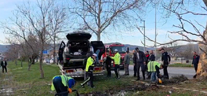 Tokat’ta cip ağaca çarpıp alev aldı: 1 ölü, 2 yaralı