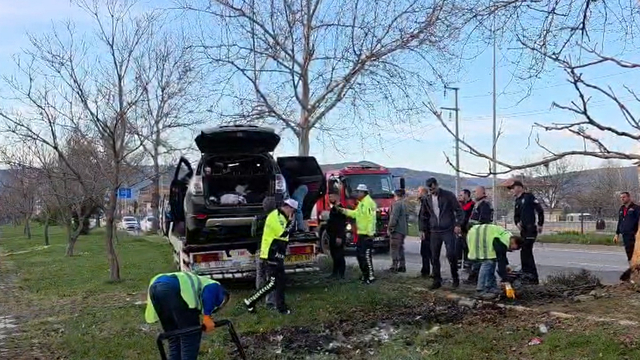 Tokat'ta cip ağaca çarpıp alev aldı: 1 ölü, 2 yaralı