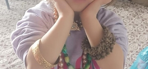 Hizan’da kayıp kız çocuğu için arama çalışması başlatıldı