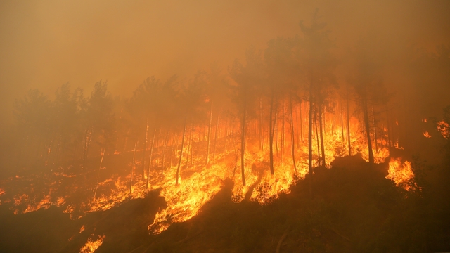 2025'te ihmal, dikkatsizlik, kasıt ve kazadan 1933 orman yangını çıktı