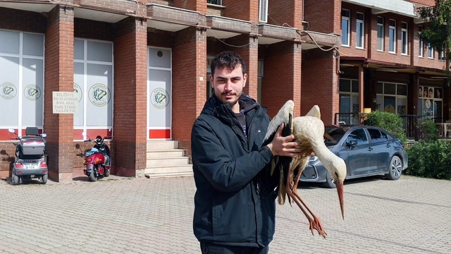 Bilecik'te yaralı leylek koruma altına alındı