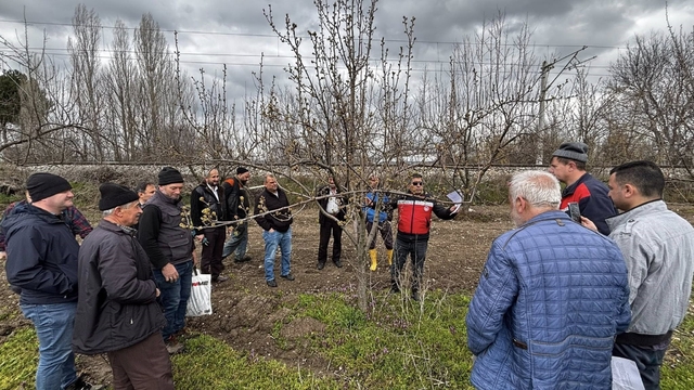Kütahya'da meyve üreticilerine budama ve aşılama eğitimi