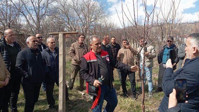 Erzincan'da çiftçilere budama eğitimi verildi