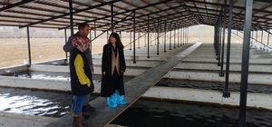 Tercan'da alabalık üretim tesisine denetim