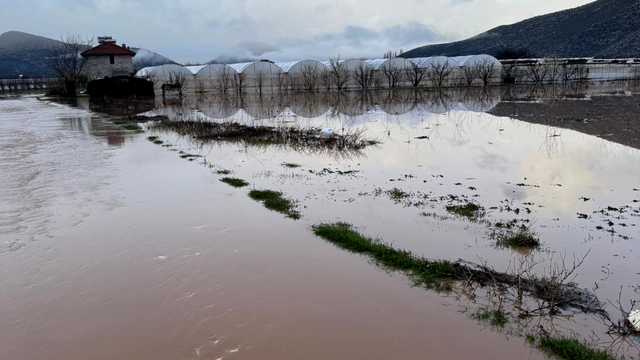 Antalya'da sağanak; dereler taştı, tarım alanlarını su altında kaldı