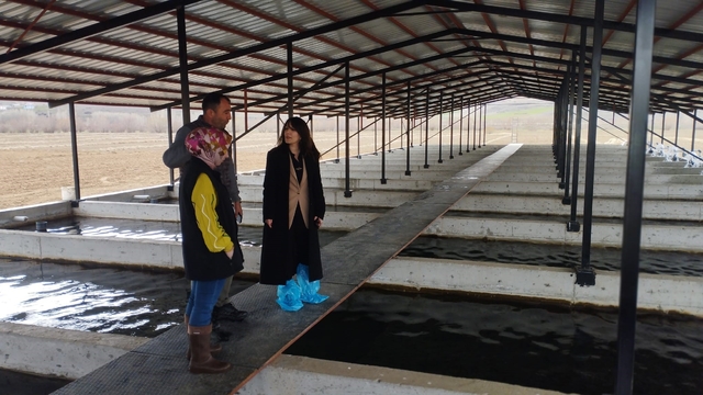 Tercan'da alabalık üretim tesisine denetim