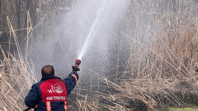 Van'da sazlık alanda yangın