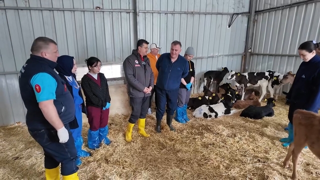 Tekirdağ'da üreticiler buzağı sağlığına ilişkin bilgilendirildi