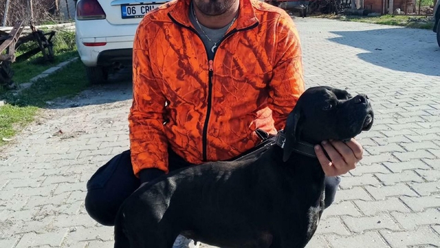 Kamyonuyla çamur dolu çukura düşen İZSU çalışanı öldü