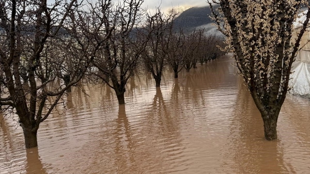 Elmalı'da dereler taştı, tarım alanları sular altında kaldı
