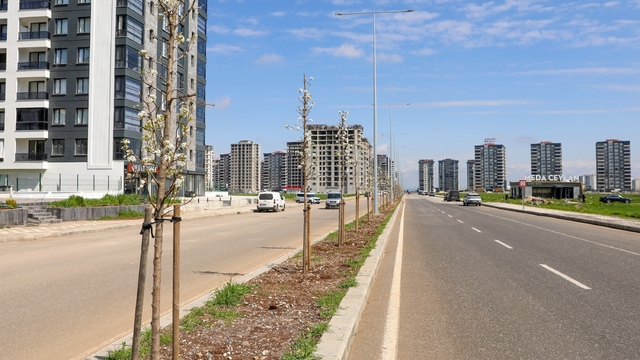 Diyarbakır'da yeşil dönüşüm: 5 bin ağaç dikildi