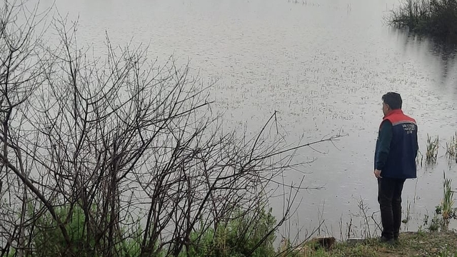 Söke'de sel sonrası tarım arazilerinde hasar tespiti sürüyor