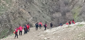 Kaybolan 4 yaşındaki Rabi, 250 kişilik ekiple aranıyor