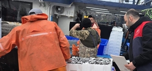 Kırklareli’nde hamsi avcılığına sıkı denetim: 15 milyon 270 bin 699 kilogram hamsi karaya çıkarıldı