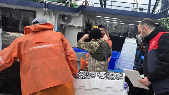 Kırklareli'nde hamsi avcılığına sıkı denetim: 15 milyon 270 bin 699 kilogram hamsi karaya çıkarıldı