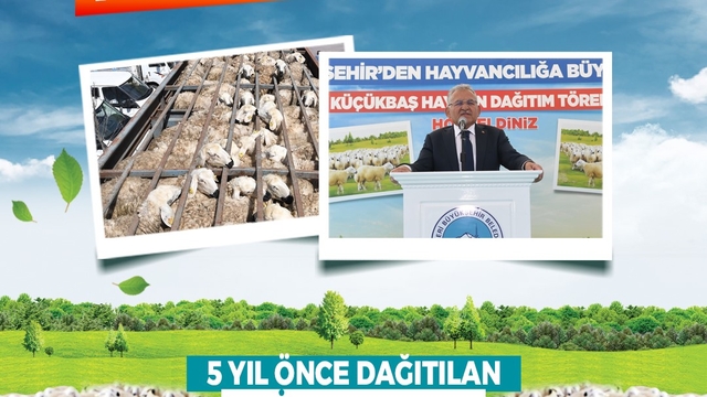Başkan Büyükkılıç'tan kırsala, kendi kendini büyüten model: 150 bin küçükbaş artışı