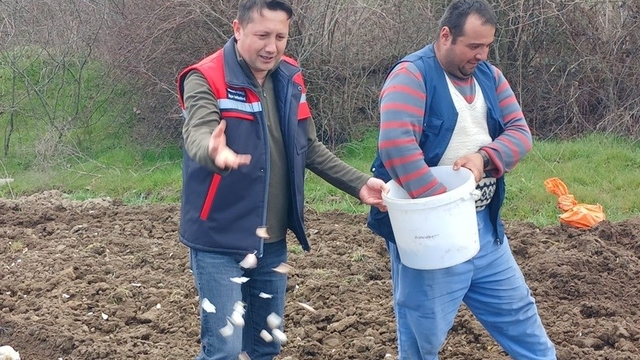 Tavşanlı 'Köprücek Sarımsağı' artık çiftçilere ciddi gelir sağlıyor
Ata tohumu ile üretilen sarımsağa olan talebin artmasıyla ekim alanları genişledi