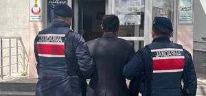 Çok yediğini iddia ettiği köpeğini ağaca asıp öldüren şüpheli tutuklandı