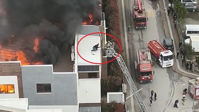 Can pazarında korku dolu anlar kameraya yansıdı... Metrelerce yüksekte itfaiye ekiplerini böyle bekledi
Alevlerin arasında nefes kesen kurtuluş Zamanla yarış anbean görüntülendi