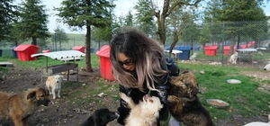 Altıeylül'de can dostlara büyük destek
Hayvanseverlerden 2 ton mama bağışı