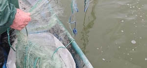 Gölde 800 metre balık ağı ele geçirildi