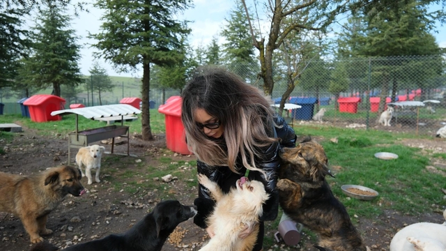 Altıeylül'de can dostlara büyük destek
Hayvanseverlerden 2 ton mama bağışı