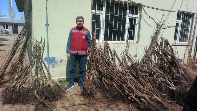 Muradiye'de yüzde 90 hibeli 50 bin adet meyve fidanı dağıtımı yapıldı