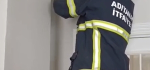 Asma tavanda sıkışan 4 yavru kedi kurtarıldı