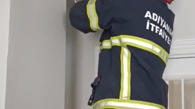 Asma tavanda sıkışan 4 yavru kedi kurtarıldı