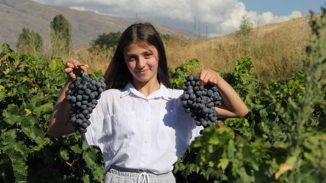 Erzincan tulum peyniri ve Cimin üzümü 'Slow Food Ark of Taste' listesine alındı