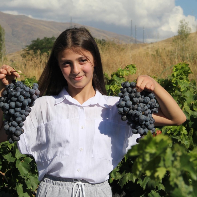 Erzincan tulum peyniri ve Cimin üzümü 'Slow Food Ark of Taste' listesine al...