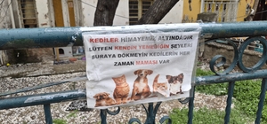 Hayvanseverlerin ilginç yazısı: "Kediler himayemiz altındadır"