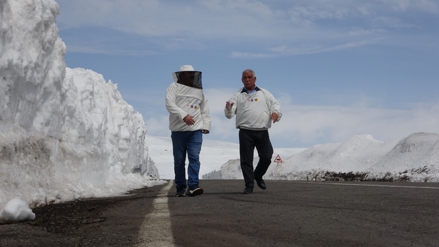 2581 rakımda arıcılardan yol açma çağrısı
Ardahan Arıcılar Birliği Başkanı Evliyaoğlu, "Bu bakımevi hayati öneme sahip"