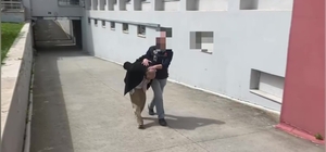 Aracında 825 kilo bonzai yapılacak ham madde yakalattı: "Bana ait değil"