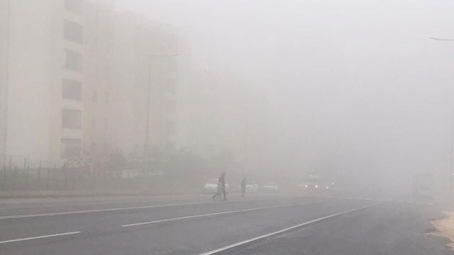 Şanlıurfa'da sis nedeniyle görüş mesafesi düştü