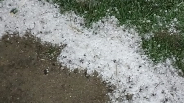 Bolu'da sabaha karşı yağan dolu yeşil alanları beyaza bürüdü