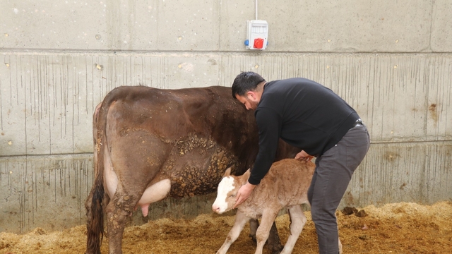 Devlet desteği ile kurduğu akıllı ahır projesiyle verimliliği artırdı