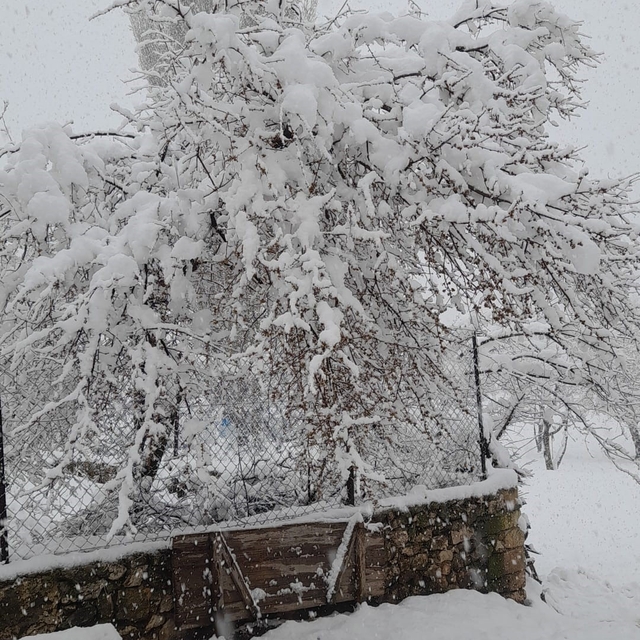 Denizli'nin yüksek kesimleri baharda beyaza büründü