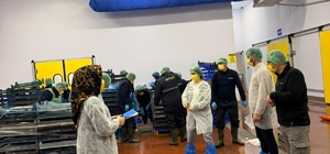 Bingöl’de balık işleme tesisleri denetlendi