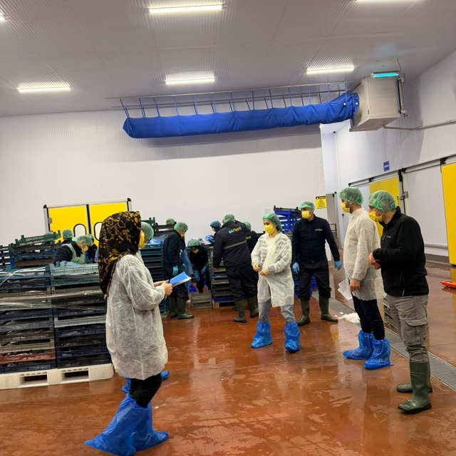 Bingöl'de balık işleme tesisleri denetlendi